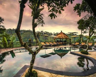 Nandini Jungle by Hanging Gardens - Payangan - Pool