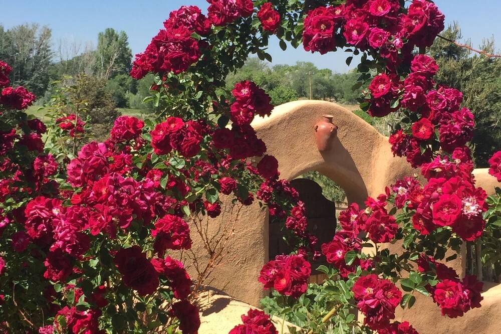 Old Taos Guesthouse B&B - טאוס - נוף חיצוני
