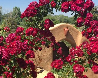Old Taos Guesthouse B&B - Taos - Vista del exterior
