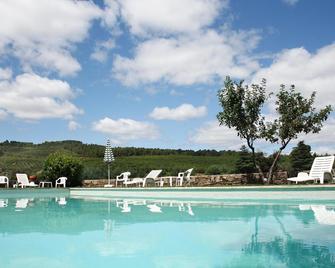 Casa de Vilarinho de São Romão - Sabrosa - Pool