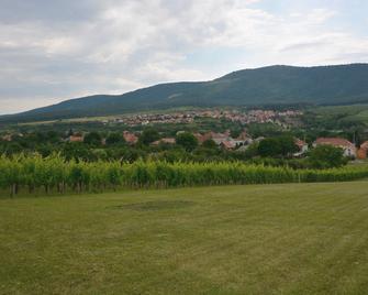Wonderful panorama view over the Bükk moutains. - Felsőtárkány - Outdoors view