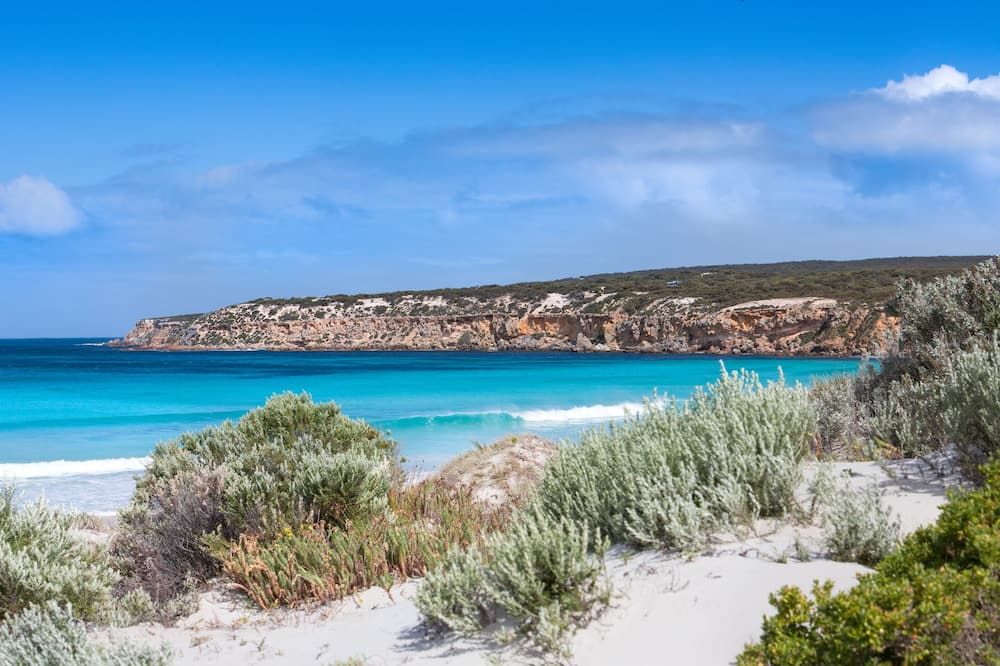 ليماني بورت لينكولن