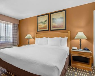 Quality Inn & Suites Plano East - Richardson - Plano - Quarto