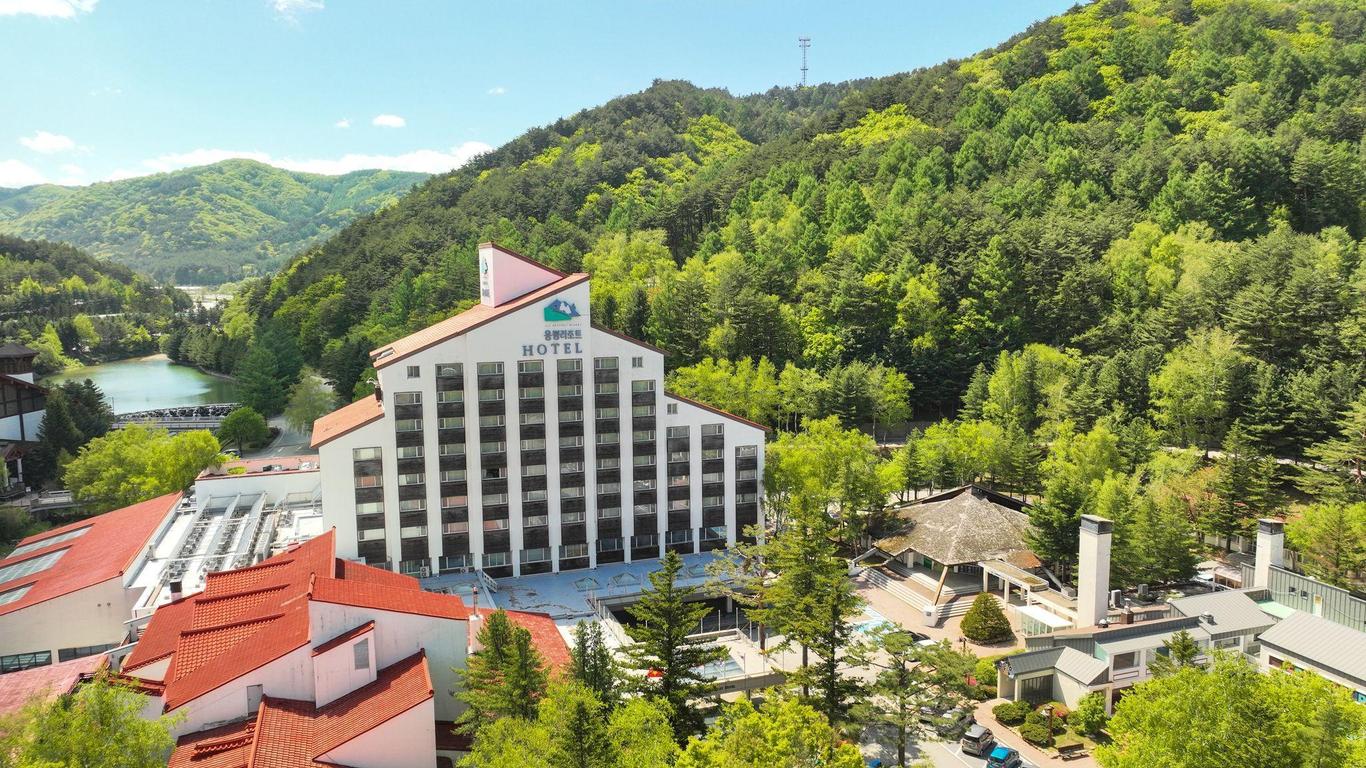 Yongpyong Resort Villa Condo
