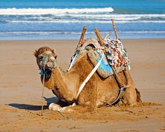 Riad Eucalyptus, Ethnic Hotel - Essaouira - Beach