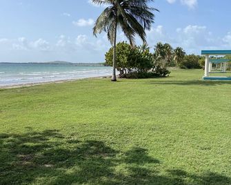 The Cutest Studio, Minutes To Ferry & Beach! - Ceiba - Playa