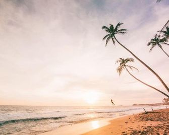 Sea Cloud Dalawella Hotel - Talpe - Beach