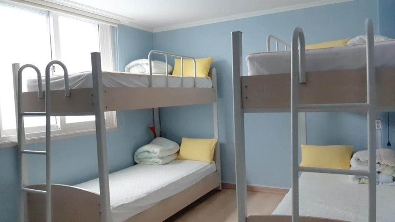 بيلوجا جيست هاوس - هوستل