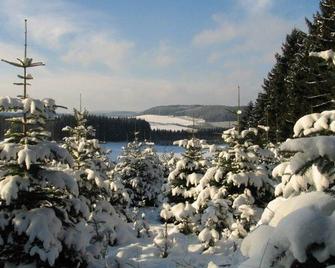 Quiet, Cozy Apartment in the Sauerland With Private Terrace - Schmallenberg - Outdoor view