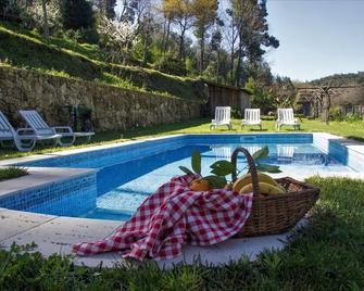 Casa do Ribeiro - Sever do Vouga - Piscina