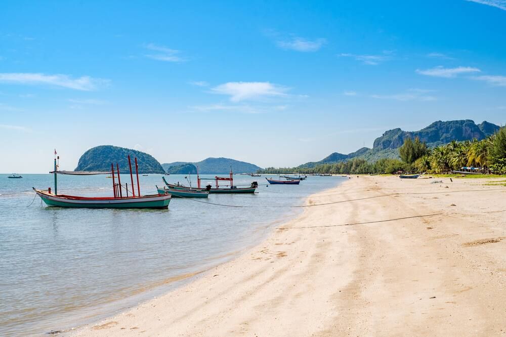 ذا بيتش فيليدج ريزورت