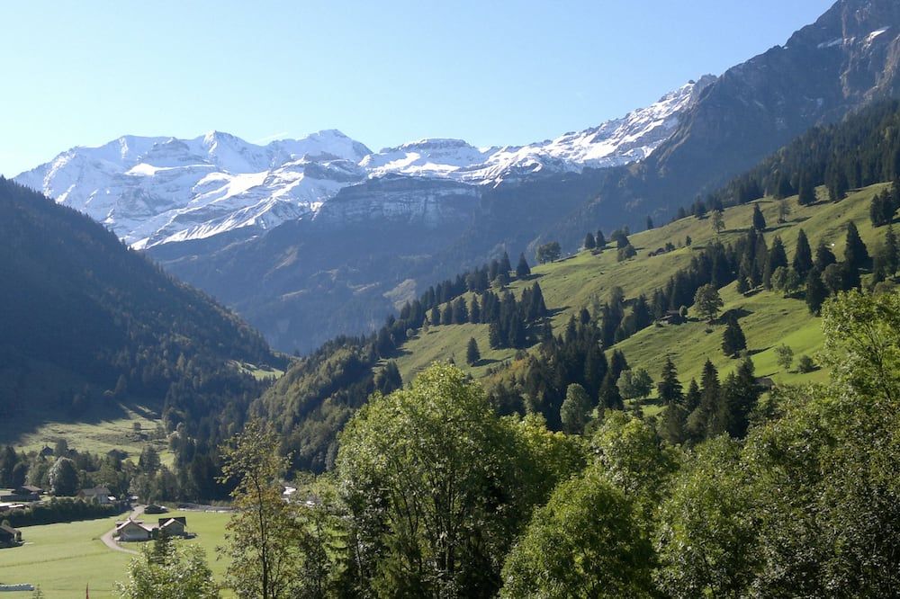 هوتل بايرين