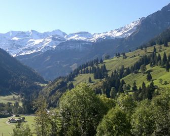 Hotel Baeren - Reichenbach im Kandertal - Vista del exterior