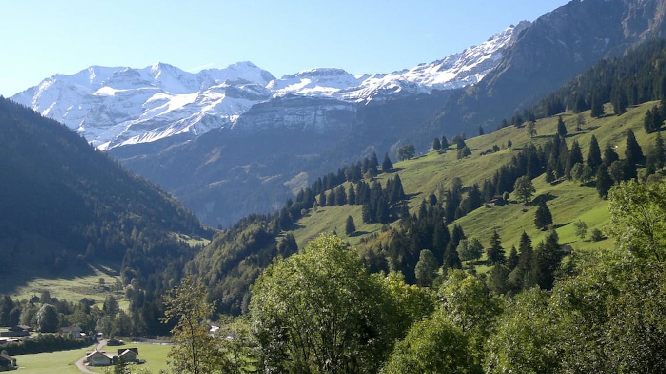 هوتل بايرين