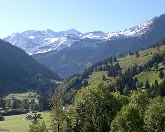 Hotel Baeren - Reichenbach im Kandertal - Buiten zicht