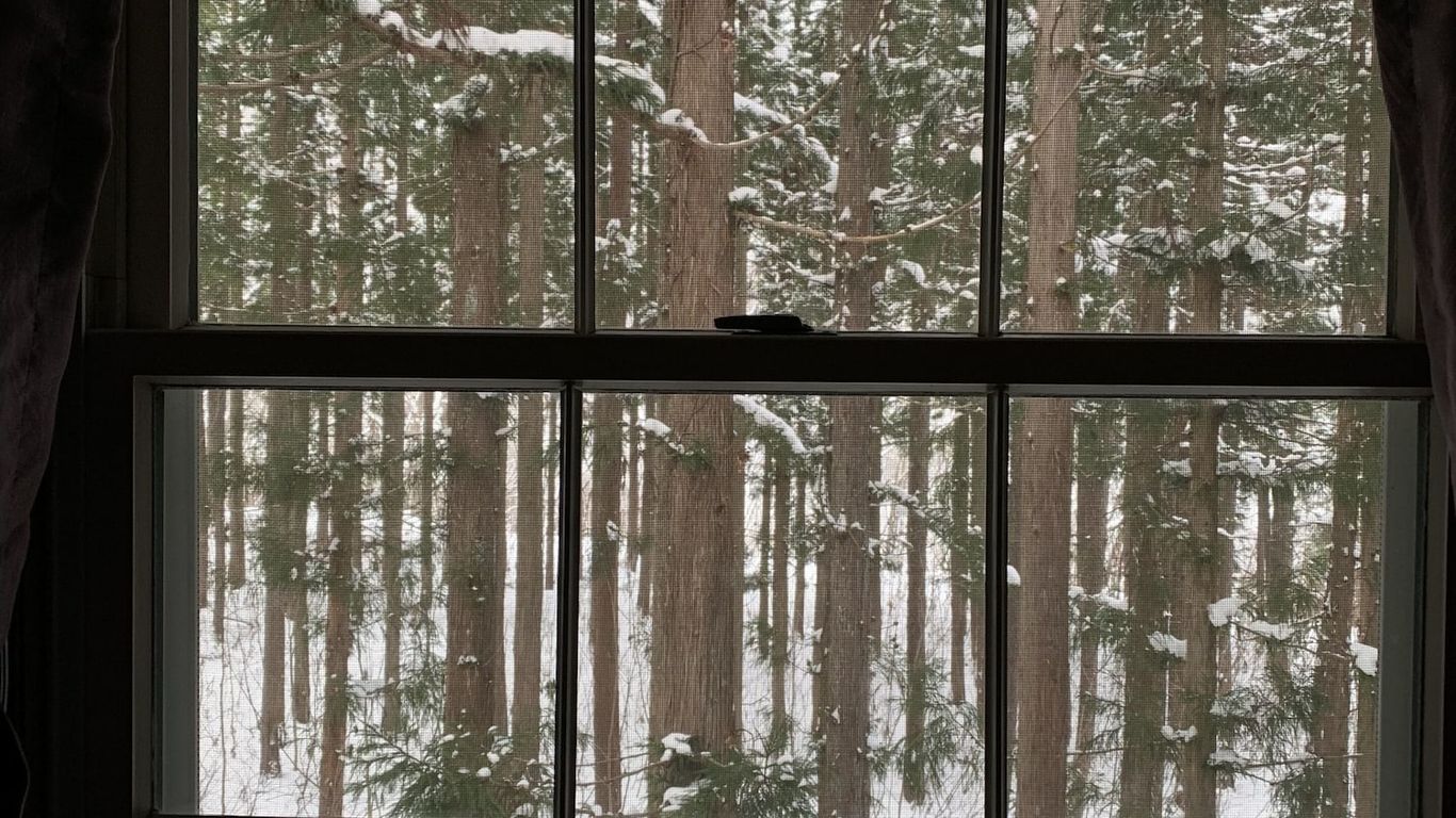 Wadano Forest Hotel & Apartments