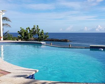 Oceanview property with 180 degree view of the Atlantic Ocean, with swiming pool - Manatí - Piscina