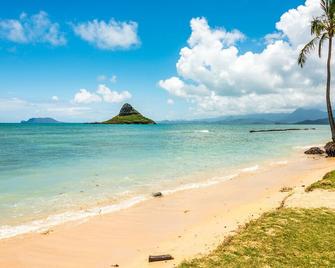 Cozy Kaaawa Studio with Mountain Views - 30 Day Min - Kaaawa - Beach
