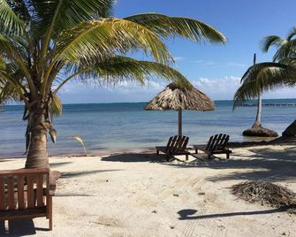 Royal Caribbean Resort - San Pedro Town - Strand