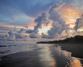 Beachfront Haven Offers Joyful One Of A Kind Holiday Just Steps From The Ocean - Esterillos Este