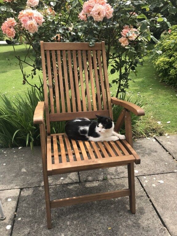 Upper Wood End Farm Holiday Cottages