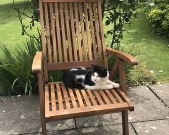 Upper Wood End Farm Holiday Cottages - Cranfield - Patio