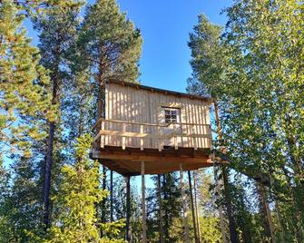 Aurora Lodge - Arvidsjaur - Gebäude
