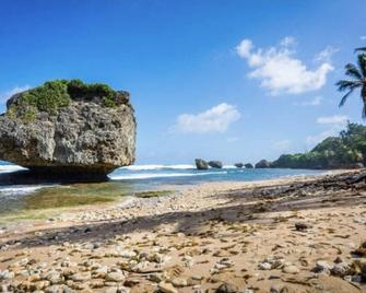 Devachan Apartments - Bridgetown - Beach