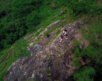 Panchavadi Farm Stay - Thekkady