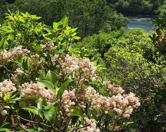 Magical secluded cottage overlooking a Kettle Pond just two miles from the Beach - Wakefield - Outdoors view
