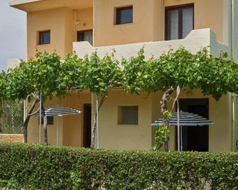 Dimitra Apartments Zakros Village - Sitia - Edificio