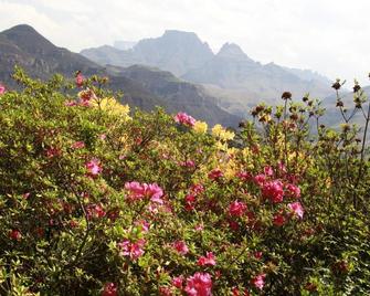 Emafweni - Dragon Peaks - Outdoors view