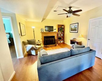 Charming 1-bedroom apartment in Floyd - Floyd - Living room