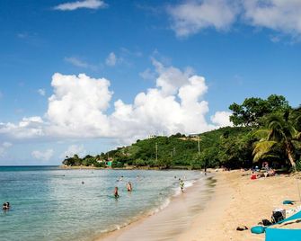 Oceanfront at Cane Bay Hideaway! - Christiansted - Strand