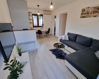 Fewo Igor 2+2 - Crikvenica - Salon