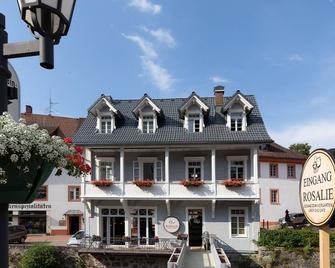 Wälder: Quartier St.Blasien - Sankt Blasien - Gebäude