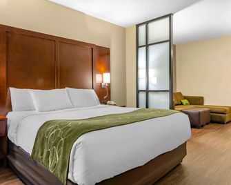 Comfort Suites Helena Airport - Helena - Camera da letto