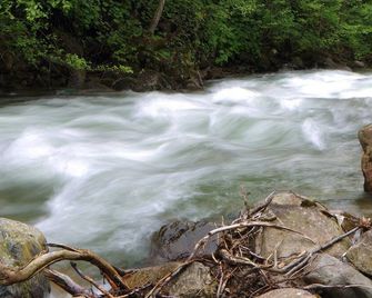 Kackar Resort Hotel - Ayder