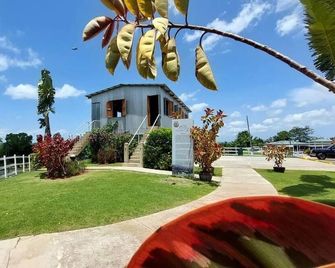 Tropical Studio Boutique - Cerca de Gozalandia - San Sebastián