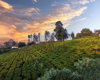 Solitude by Nature Resorts and Stays - Ooty - Venkovní prostory