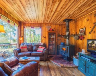 Buckeye's authentic, comfy, cozy, romantic cabin in Leadville, Colorado - Leadville - Living room