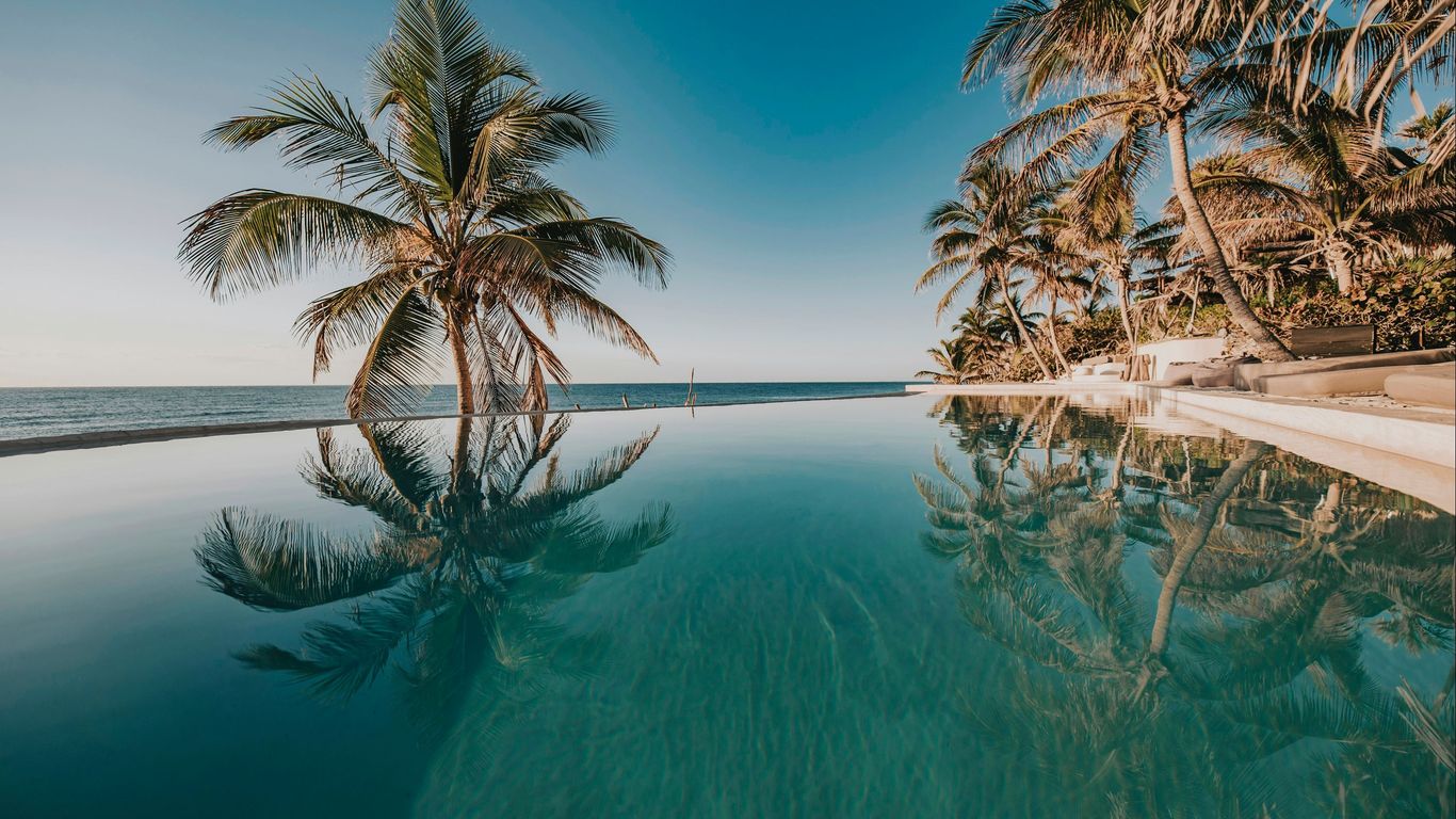 Papaya Playa Project