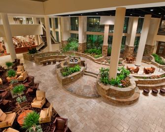 Embassy Suites by Hilton San Antonio Riverwalk Downtown - סן אנטוניו - לובי