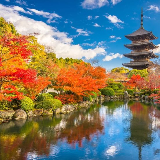 Other view of The Blossom Kyoto