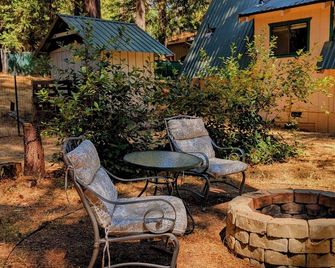 Cozy & Charming Sierra Nevada mts cabin 40 minutes from Kirkwood Ski resort. - Pioneer - Patio