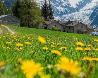 Hotel Bleis - Ponte di Legno - Outdoor view