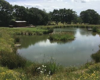 2 bedroom accommodation in North Petherwin, near Launceston - Launceston - Venkovní prostory
