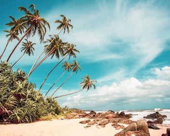 Hotel Bougainvilla - Aluthgama - Beach