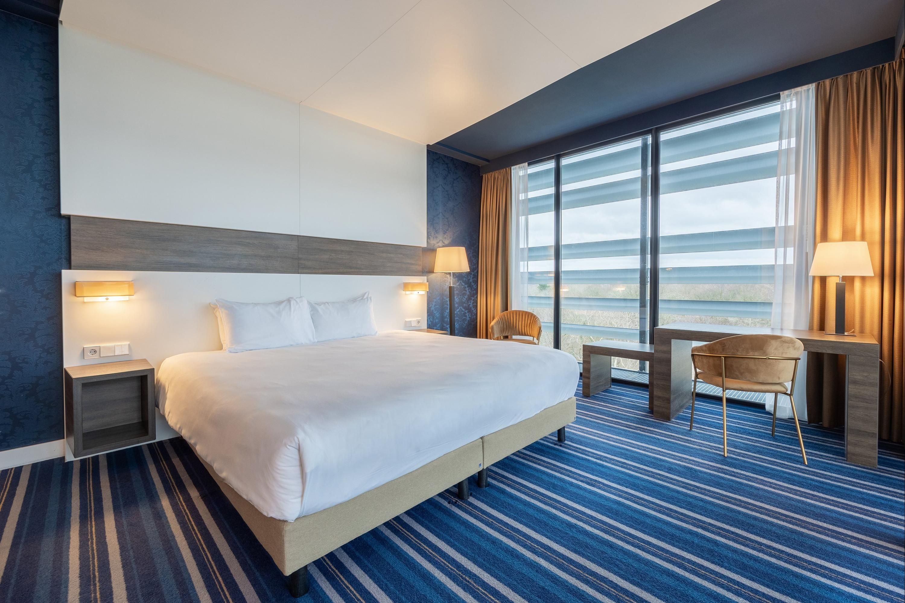 ليوناردو رويال هوتل دن هاج برومينيد