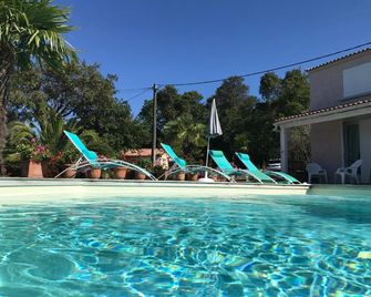 Chambre Hotes Carpe Diem - Santa-Maria-Poggio - Pool